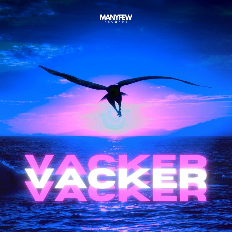 ManyFew - VACKER (Original Mix)