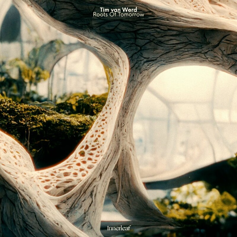 Tim van Werd - Roots Of Tomorrow (Original Mix)