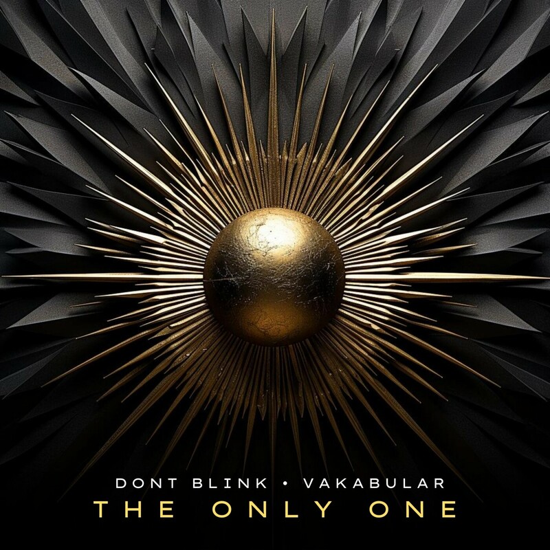DONT BLINK & Vakabular - THE ONLY ONE (Original Mix)