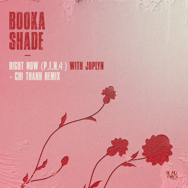 Booka Shade & JOPLYN - Right Now (P.I.N. 4) (Chi Thanh Remix)