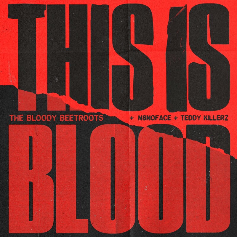 The Bloody Beetroots, N8NOFACE & Teddy Killerz - This Is Blood (Original Mix)