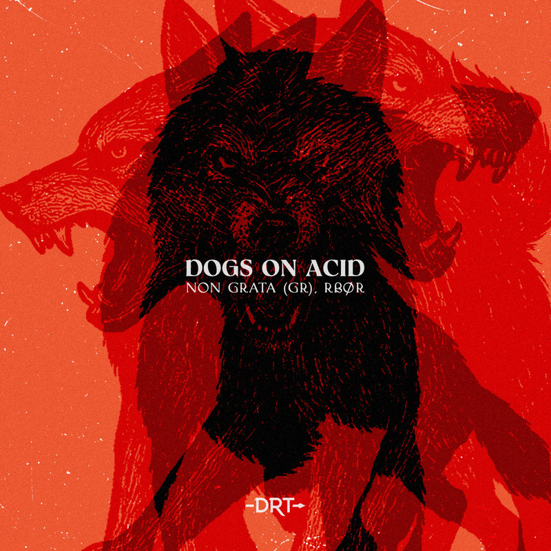 Non Grata (GR) & RB&Oslash;R - Dogs On Acid (Extended Mix)