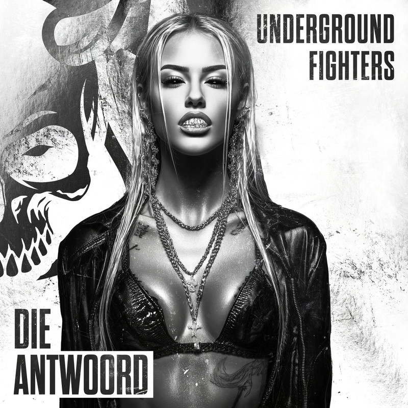 Underground Fighters - Die Antwoord (Original Mix)
