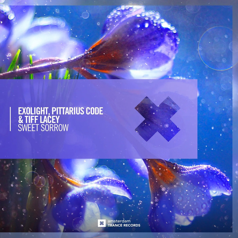 Exolight, PITTARIUS CODE & Tiff Lacey - Sweet Sorrow (Extended Mix)