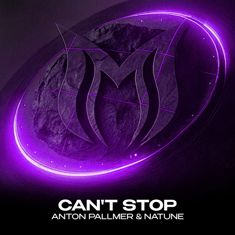 Anton Pallmer & Natune - Can't Stop (Extended Mix)