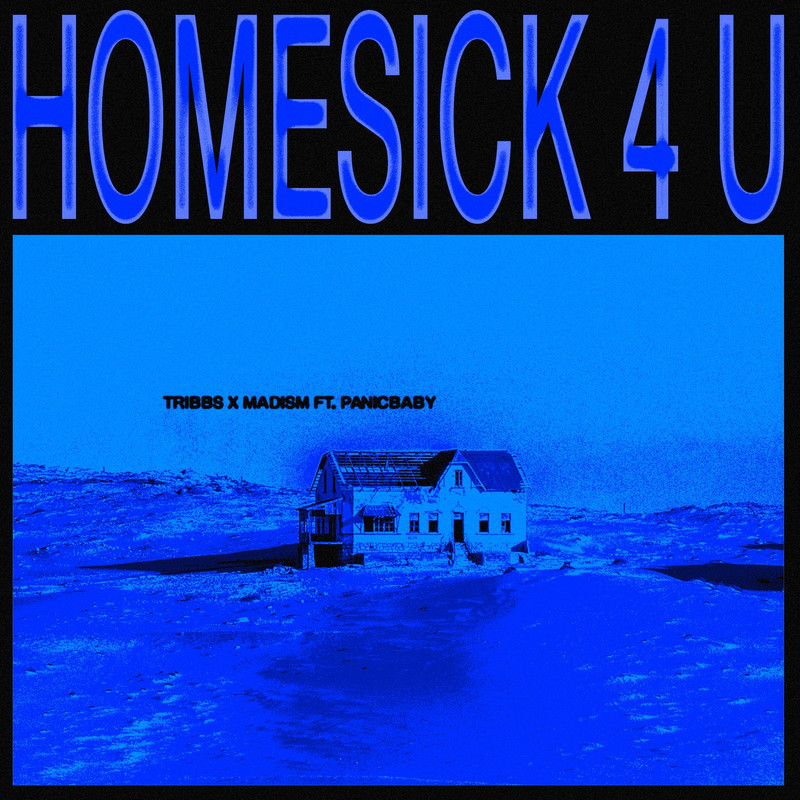 Tribbs x Madism x panicbaby - Homesick 4 U (Extended Mix)