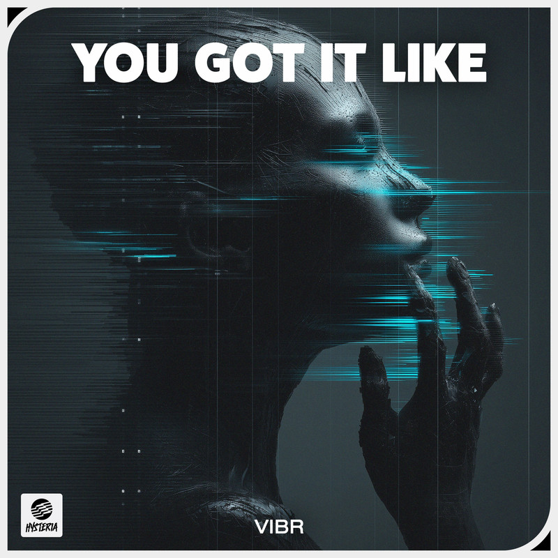 VIBR - You got it like (Extended Mix)