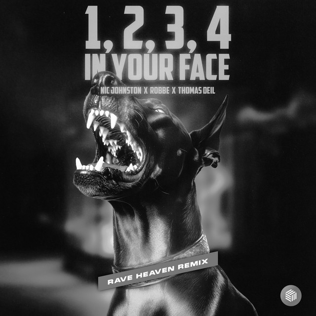 Nic Johnston, Robbe & Thomas Deil - 1, 2, 3, 4 (In Your Face) (Kick Extended Edit)