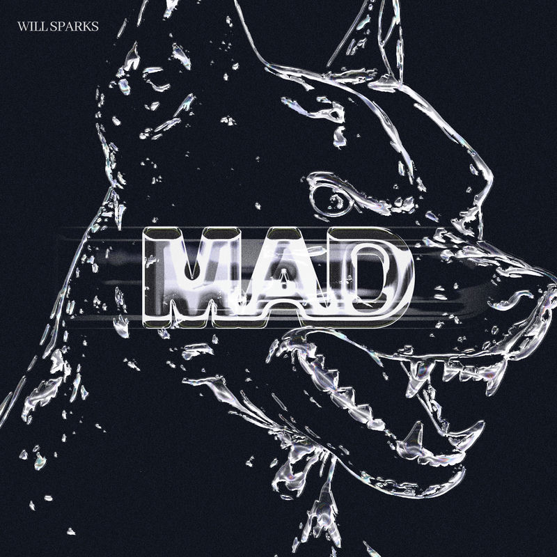 Will Sparks - Mad (Original Mix)