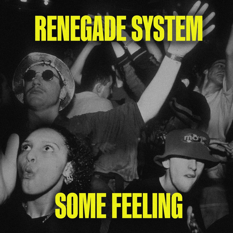 Renegade System - Some Feeling (Extended Mix)