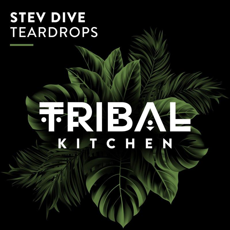 Stev Dive - Teardrops (Extended Mix)