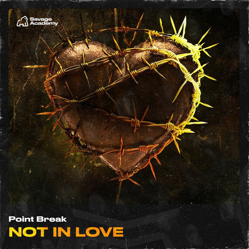 Point Break - NOT IN LOVE (Original Mix)