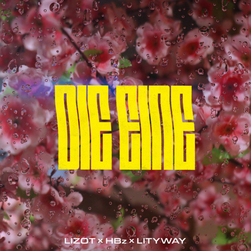 LIZOT, HBz & lityway - Die Eine (Extended Mix)