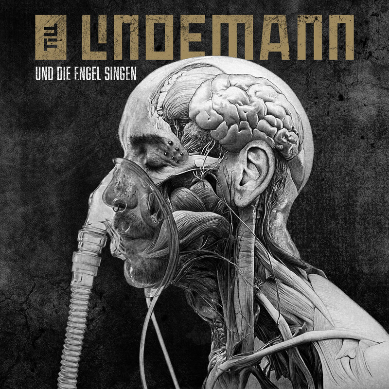 TILL LINDEMANN - Und die Engel singen (Virtual Riot Mix)