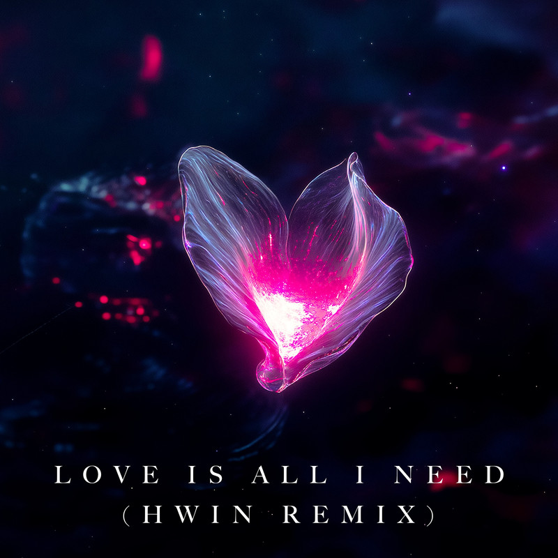 HWIN - Love Is All I Need (HWIN Extended Remix)