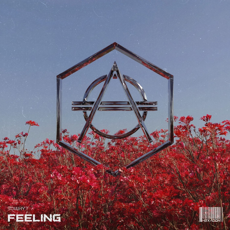 SoWhy - Feeling (Extended Mix)