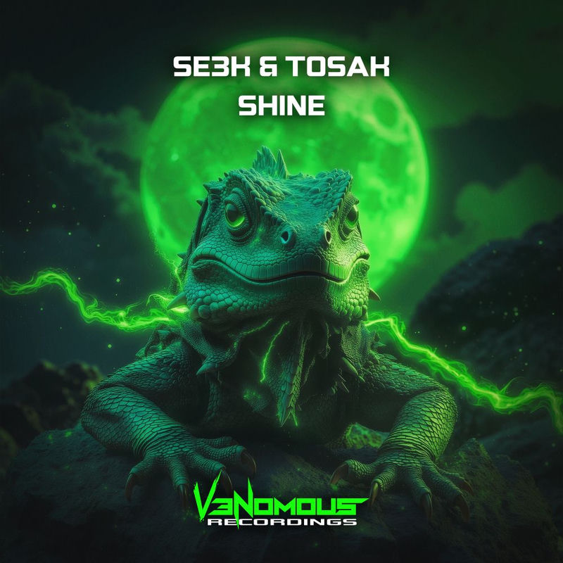 se3k & Tosak - SHINE (Original Mix)
