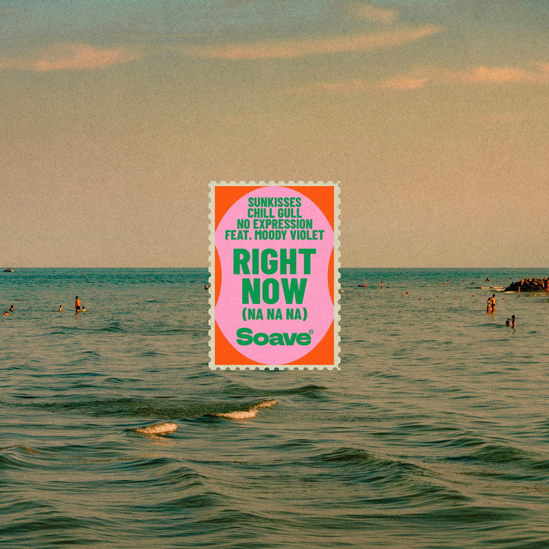 Sunkisses & Chill Gull & No ExpressioN - Right Now (Na Na Na) (feat. Moody Violet) (Original Mix)