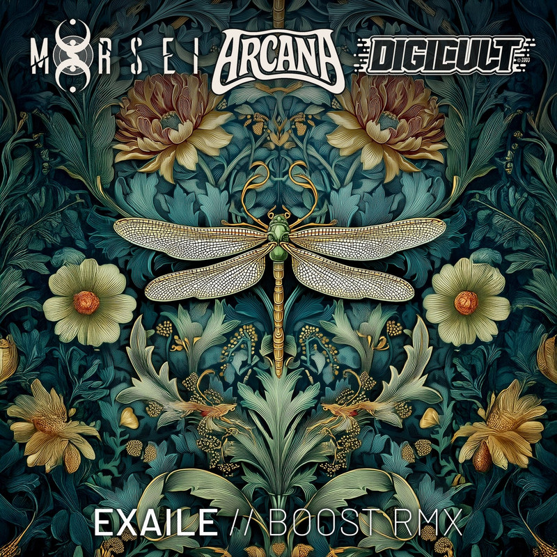 Exaile - Boost (Arcana, Digicult & MoRsei Remix)