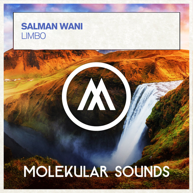 Salman wani - Limbo (Extended Mix)