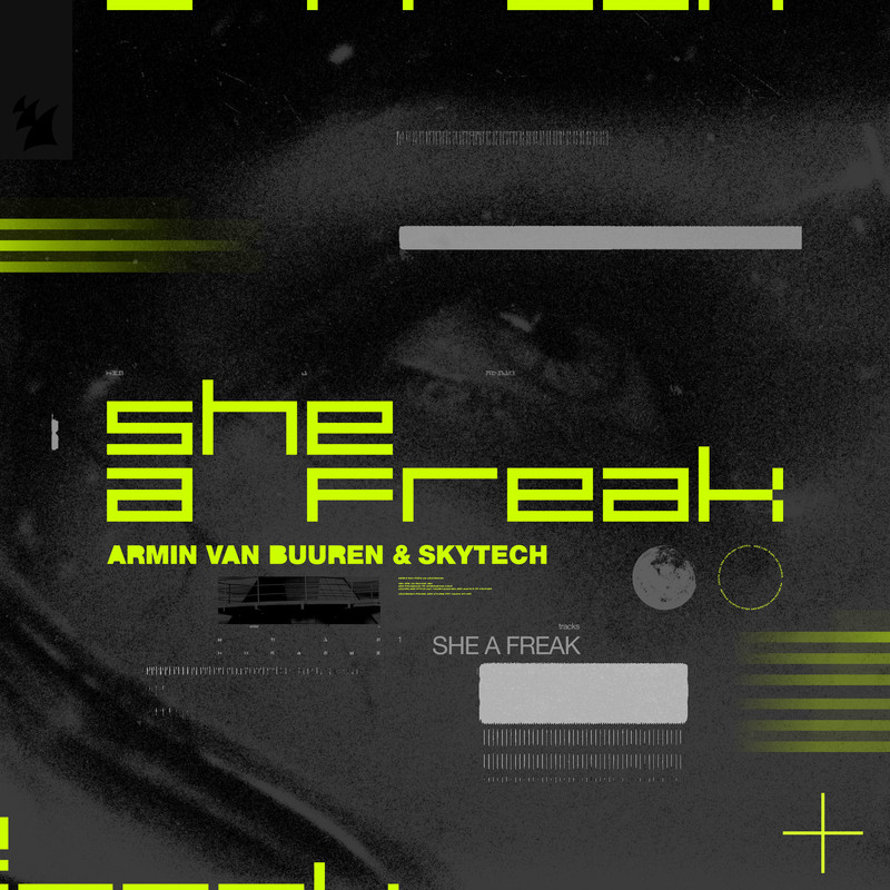 Armin van Buuren & Skytech - She A Freak (Extended Mix)
