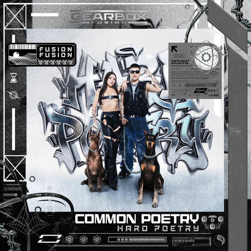 common poetry - HARD POETRY (Original Mix)