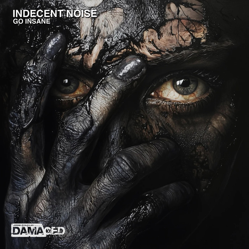 Indecent Noise - Go Insane (Extended Mix)