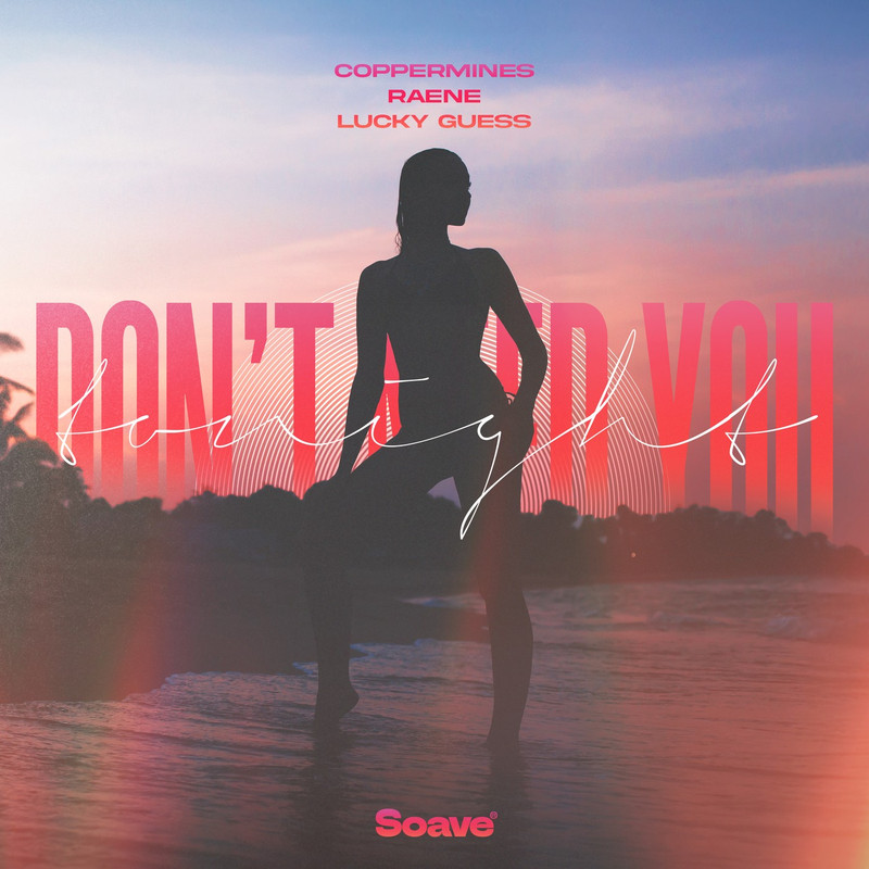 Coppermines, RAENE & Lucky Guess - Don't Need You Tonight (Original Mix)