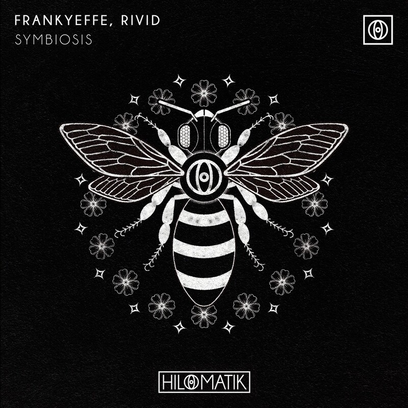Frankyeffe & RiVid - Symbiosis (Original Mix)