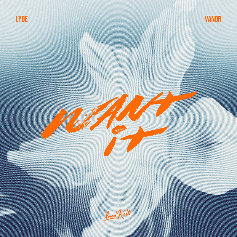 Lyge, VANDR - Want It (Extended Mix)