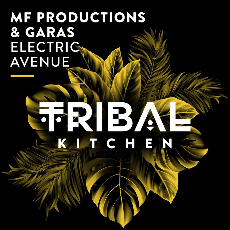 Garas - Electric Avenue (Extended Mix)