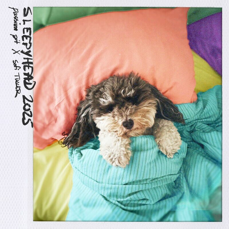 Passion Pit & Sofi Tukker - Sleepyhead 2025 (Original Mix)