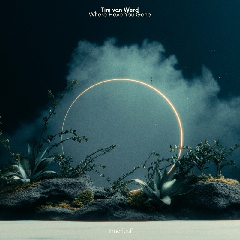 Tim van Werd - Where Have You Gone (Original Mix)