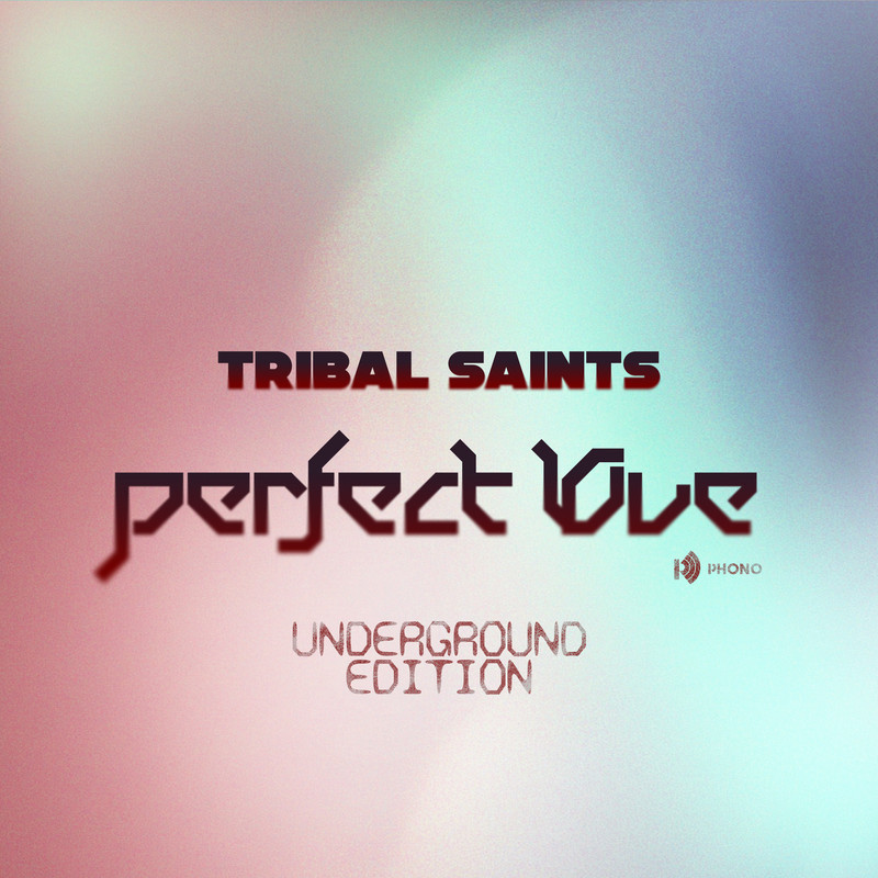 Tribel Saints - Perfect Love (Qubiko Extended Remix)