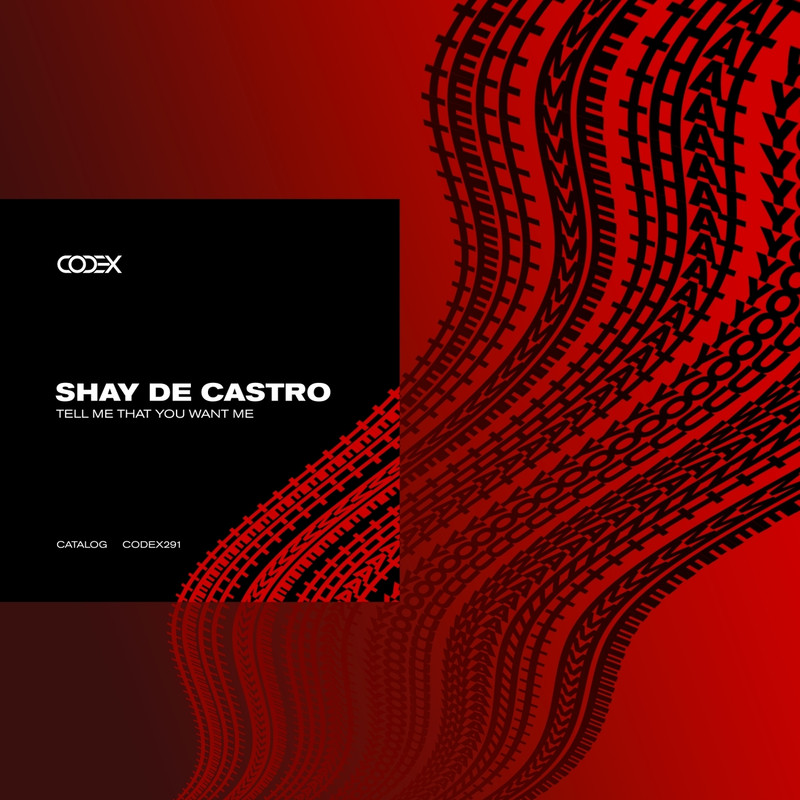 Shay De Castro - Tell Me That You Want Me (Original Mix)