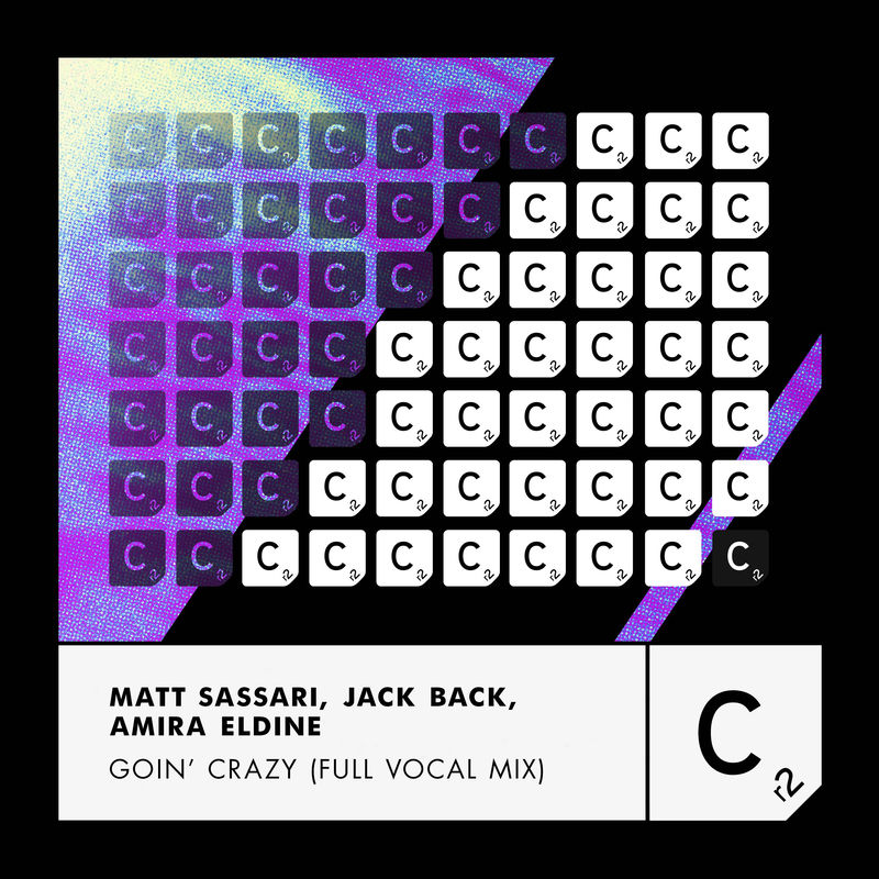 Matt Sassari, Jack Back, David Guetta & Amira Eldine - Goin' Crazy (Full Vocal Mix)