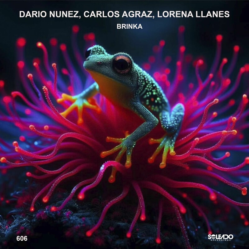 Dario Nuñez, Carlos Agraz & Lorena Llanes - Brinka (Original Mix)