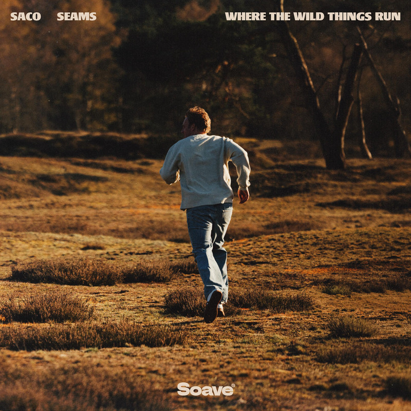 Saco & SEAMS - Where The Wild Things Run (Original Mix)
