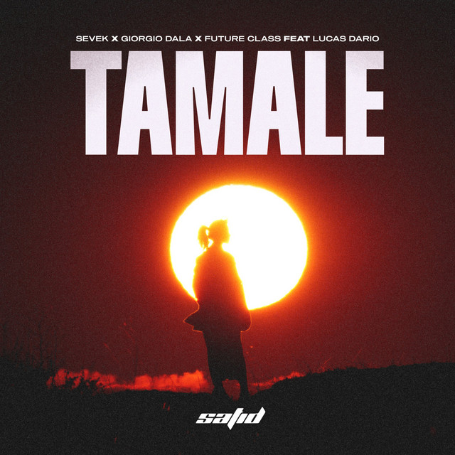Sevek, Giorgio Dala, Future Class, Lucas Darío - Tamale (Extended Mix)
