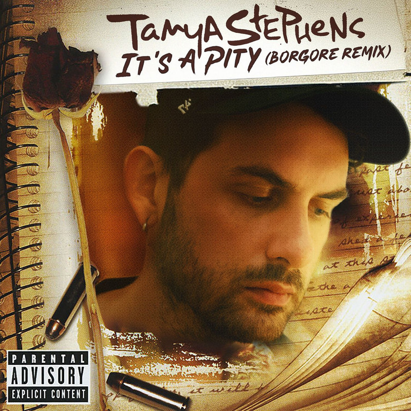 Tanya Stephens - It's A Pity (Borgore Remix)