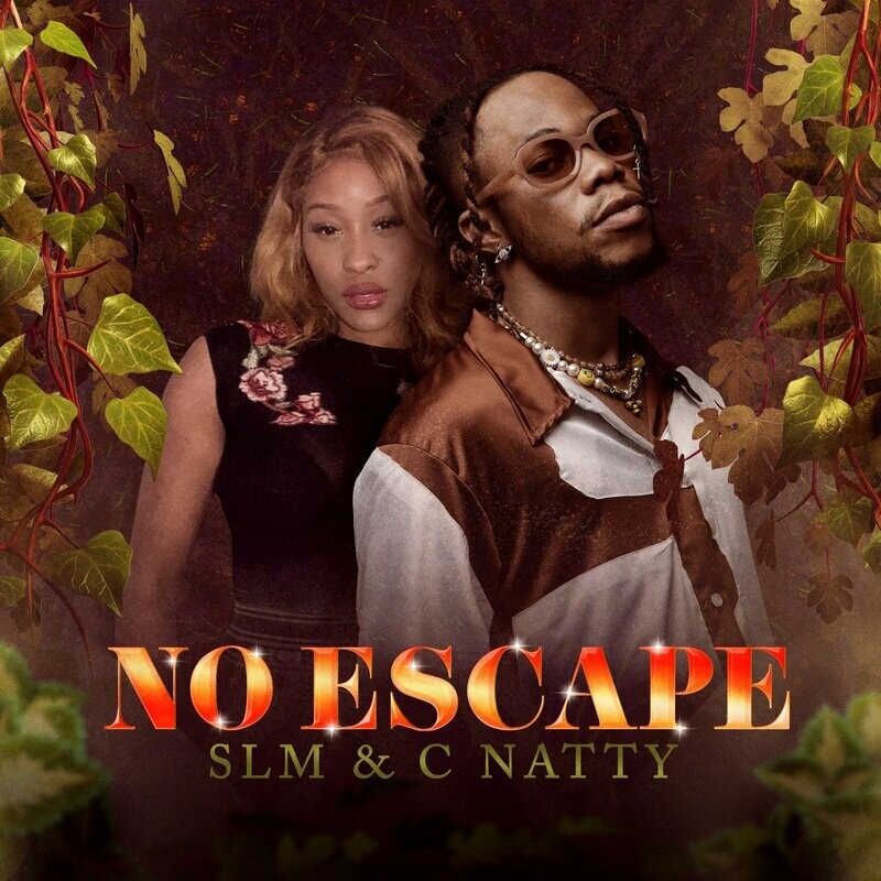 SLM & C Natty - No Escape (Original Mix)