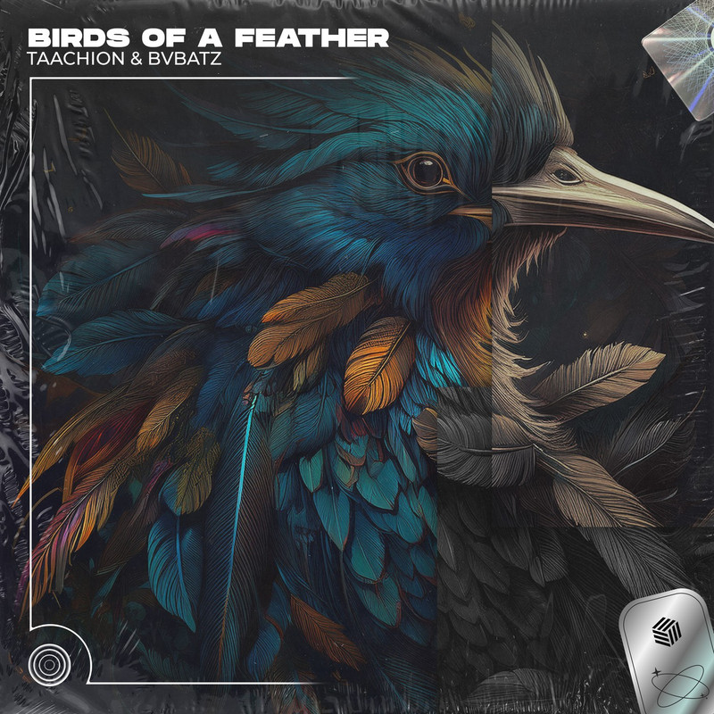 TAACHION & BVBATZ - BIRDS OF A FEATHER (Extended Mix)