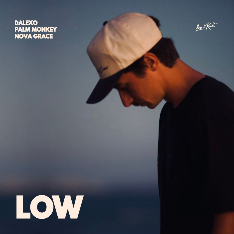 DALEXO, Palm Monkey, Nova Grace - LOW (Original Mix)