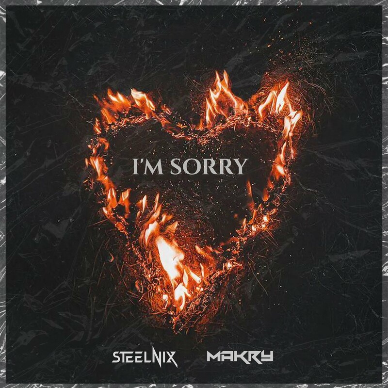 SteelniX & Makry - I'm Sorry (Original Mix)