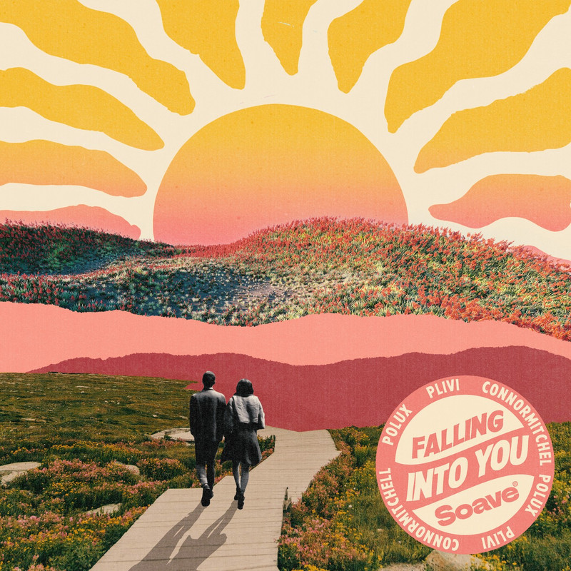 Plivi, connormitchell & Polux - Falling Into You (Original Mix)