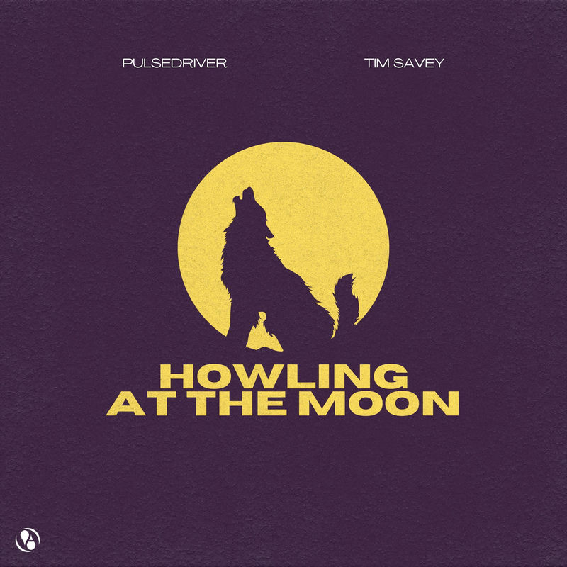 Pulsedriver & Tim Savey - Howling At The Moon (Original Mix)