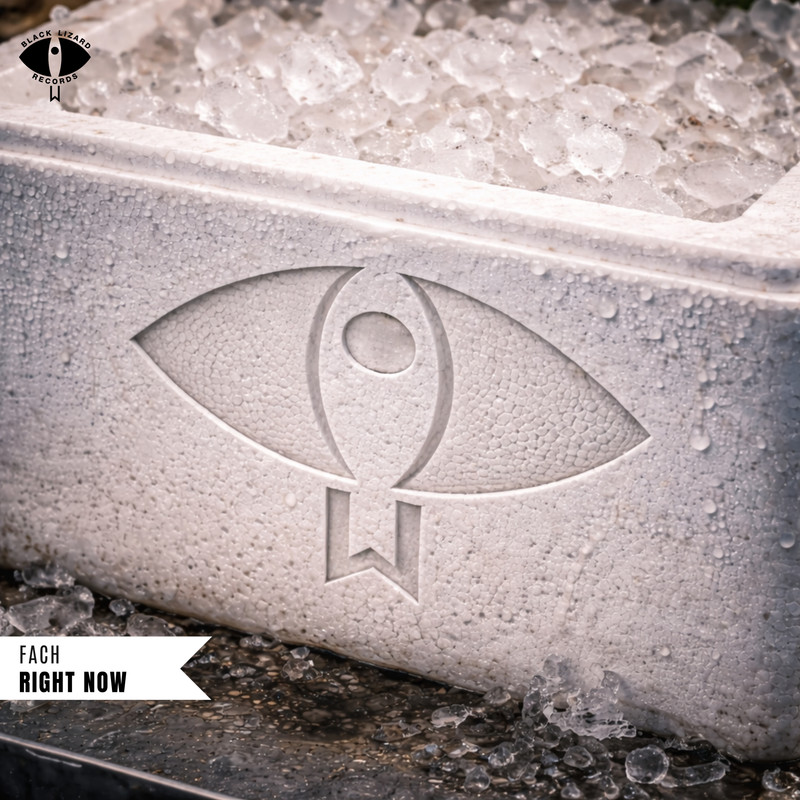 Fach - Right Now (Extended Mix)