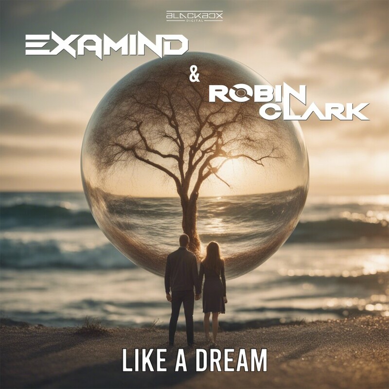 Examind & Robin Clark - Like A Dream (Original Mix)