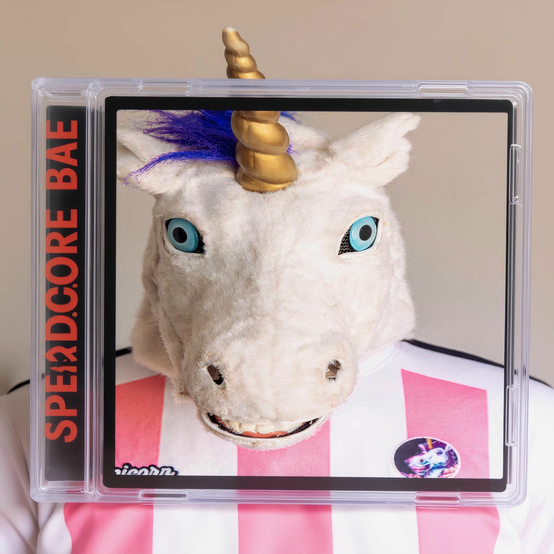 Unicorn On Ketamine - SPEEDCORE BABE (Original Mix)