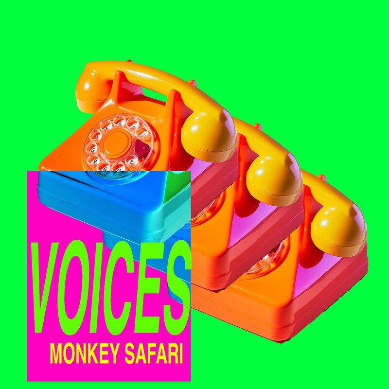 Monkey Safari - Voices (Original Mix)